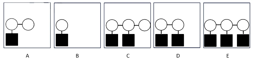 Five items labelled A to E showing circles and squares in different combinations